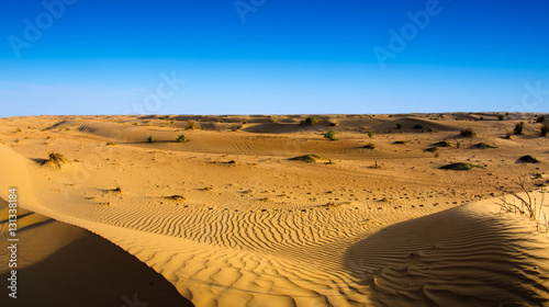 Desert landscape