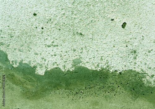 Green color cement wall texture.
