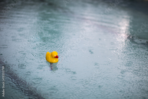 Fotografie Rubber Duck in Pool when Raining