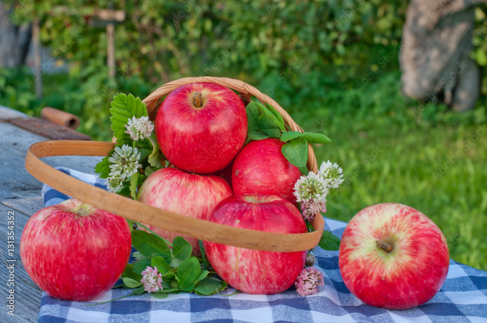red apples in a basket red apples in a basket
