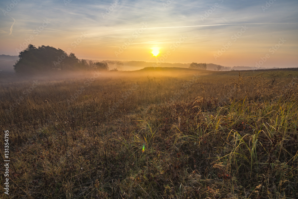misty and sunny morning in the countryside misty and sunny morning in the countryside