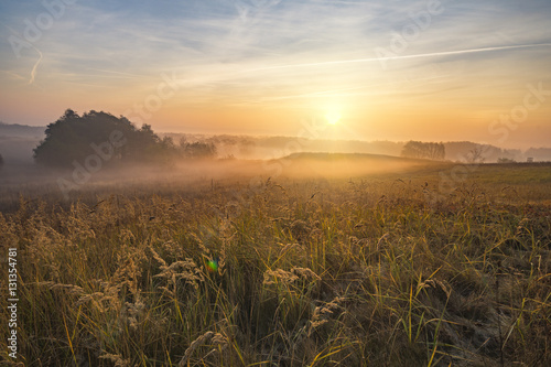 Canvas Print misty and sunny morning in the countryside