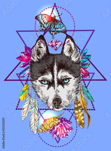 Illustration with husky