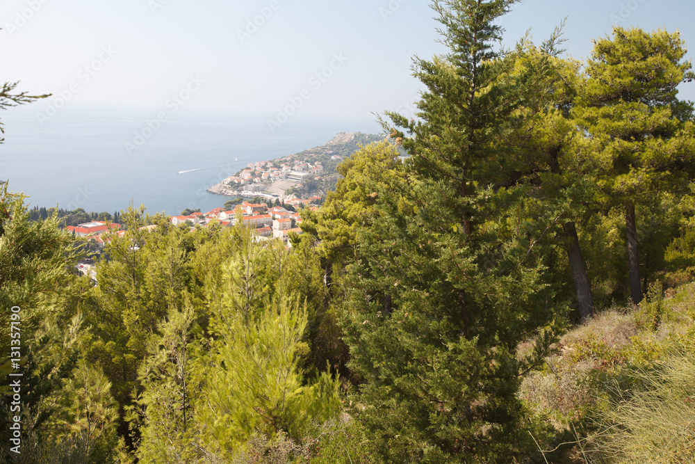 View through the trees in the city of Dubrovnik. Croatia