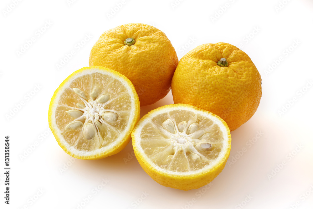 柚子　Yuzu. Japanese citron