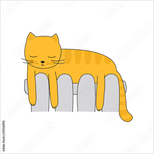 Cat on the heating radiator