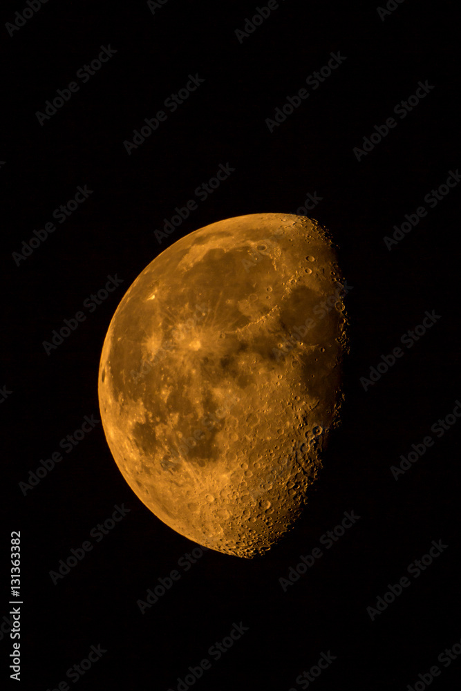 Luna dorata Luna dorata