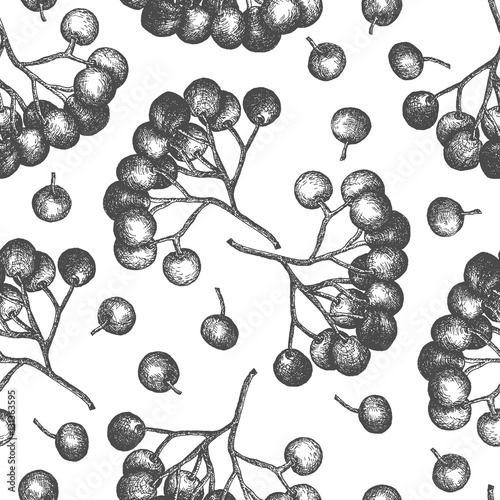 Seamless pattern design or background with elderberry. Hand drawn illustration by ink and pen sketch set. Elements include drawing and their own background shape.