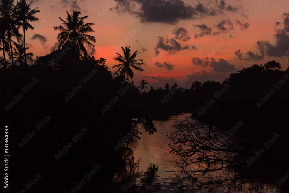 Obraz premium sunset on the river silhouette of trees and palm with reflection