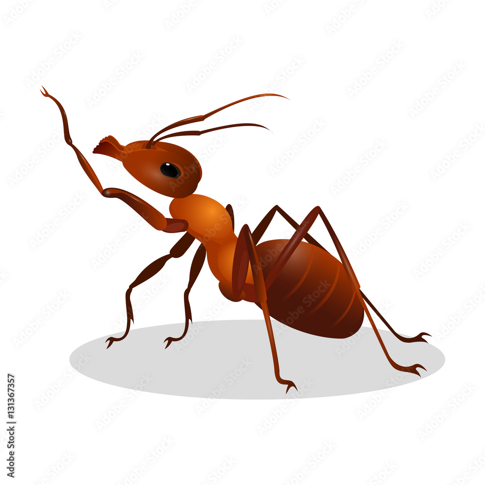 Cartoon realistic ant isolated on white. One leg raised up Cartoon realistic ant isolated on white. One leg raised up