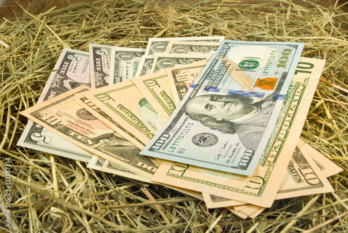 Image of dollars money on hay closeup photo