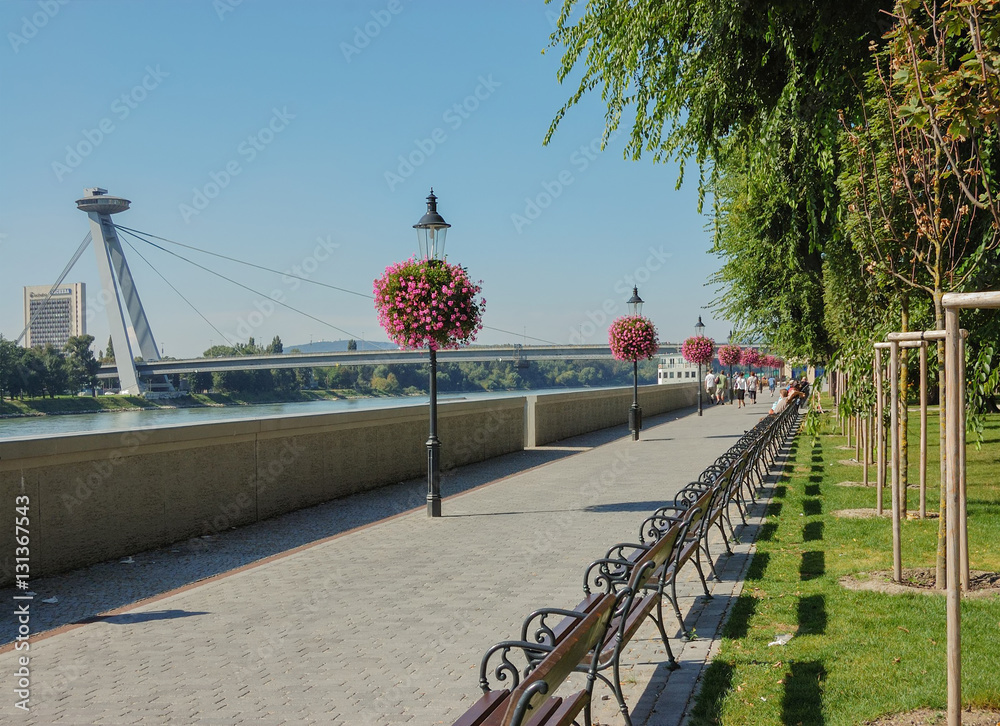 Naklejka premium Park by River Danube, Bratislava