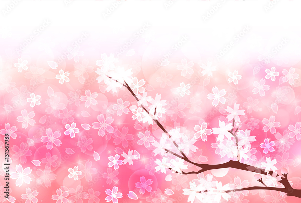 Fototapeta premium 桜 春 風景 背景 