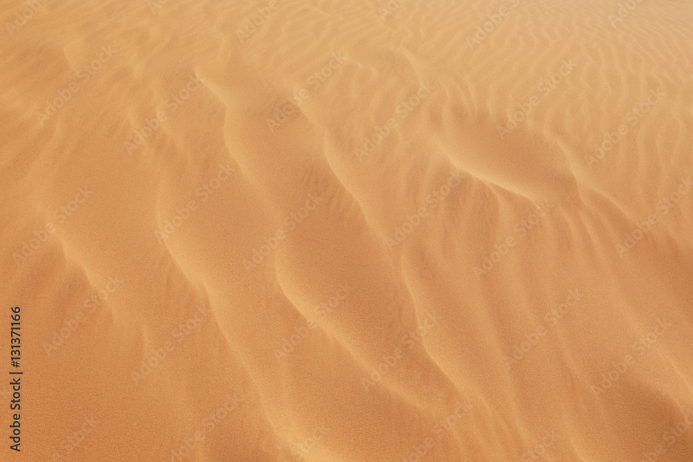 Sand dune texture Sand dune texture