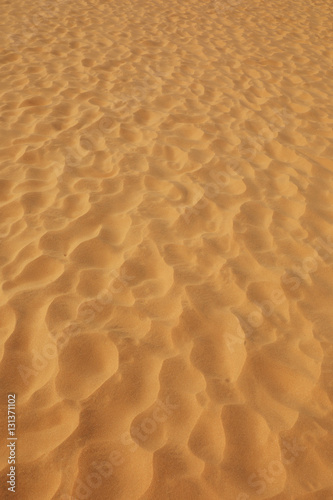 Desert background close-up