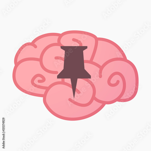 Isolated brain with a push pin