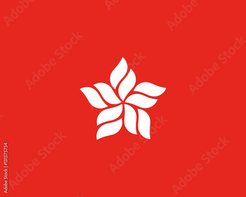 Abstract star logo design template. Leaf flow wave wool vector logotype.