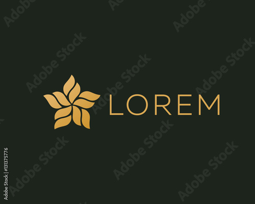 Abstract star logo design template. Leaf flow wave wool vector logotype.