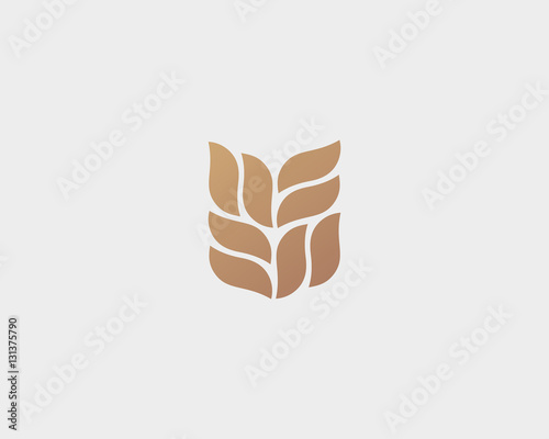 Abstract flower logo design template. Garden park vector logotype. Tulip rose flow wave icon symbol.