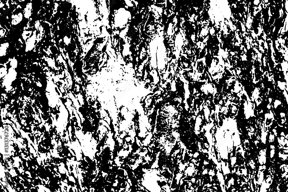 Fototapeta premium Tree skin texture black and white vector illustration