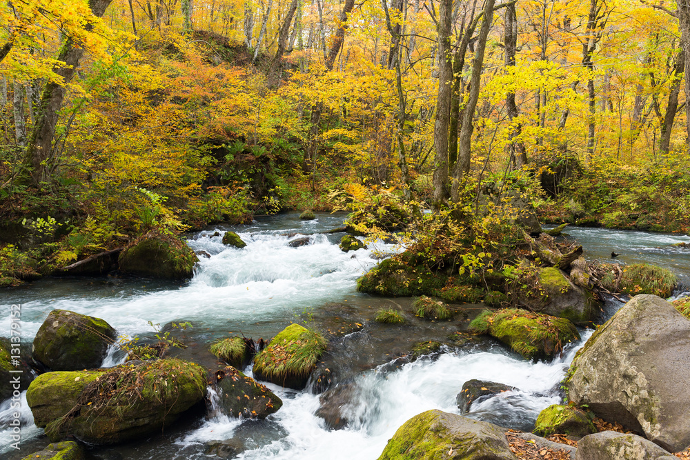 Oirase Stream in fall