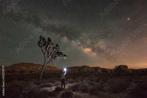 Finding Joshua Tree at night under the Milky Way Galaxy