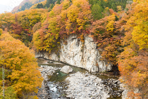 Autumn forest and river in Japan