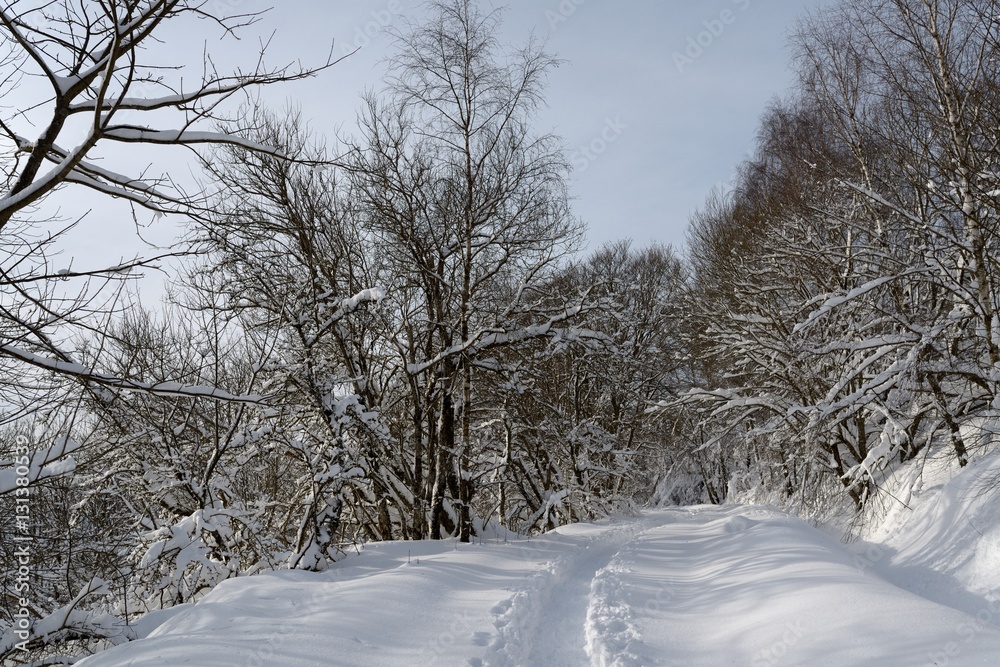 Obraz premium Randonnée dans les Vosges neige