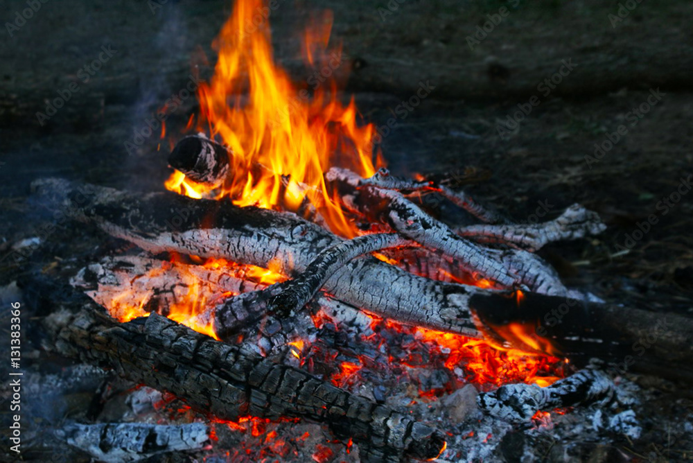 Wild Fireplace Wild Fireplace