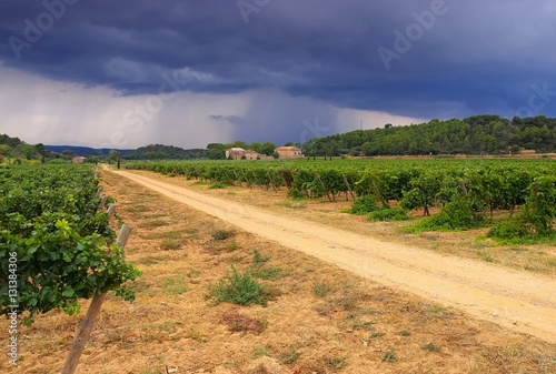 Weingut in den Corbieres - vineyard estate in Corbieres photo