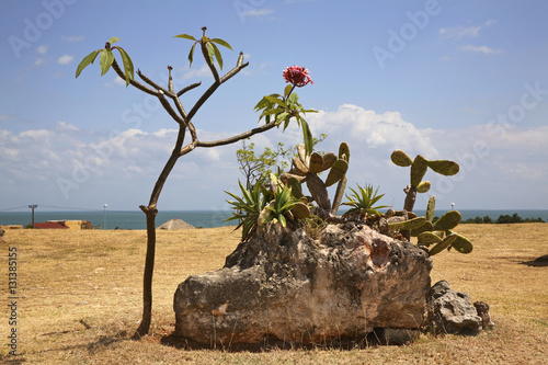 View of Varadero. Cuba