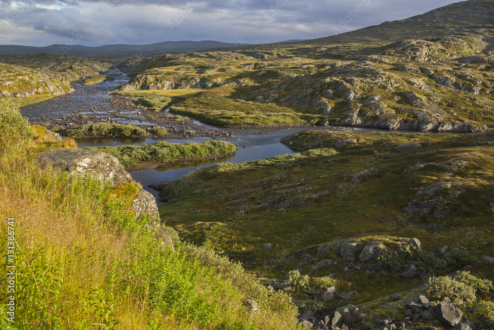 Bright sunlit rivulet flows far to the dark clouds through tundra landscape, Norway
