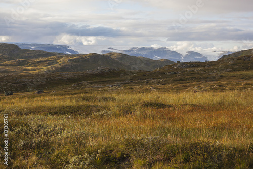 Brown tundra landscape on Hardangervidda plateau against glacier, Norway