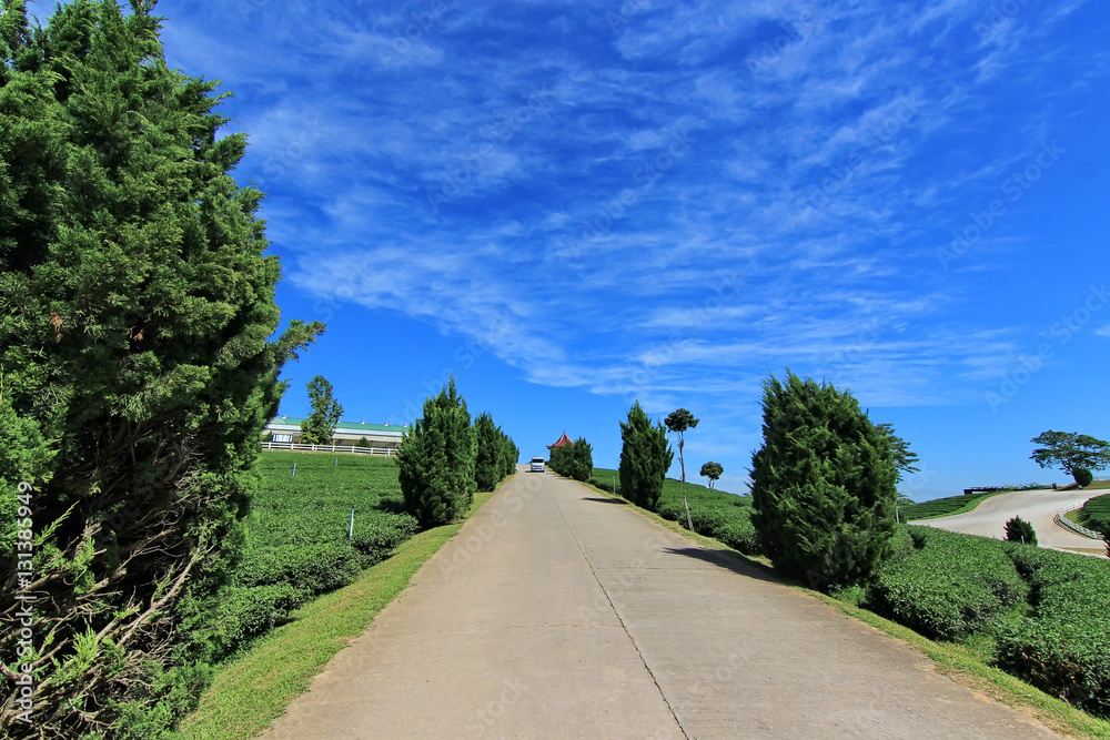 Road to the hill with blue sky background