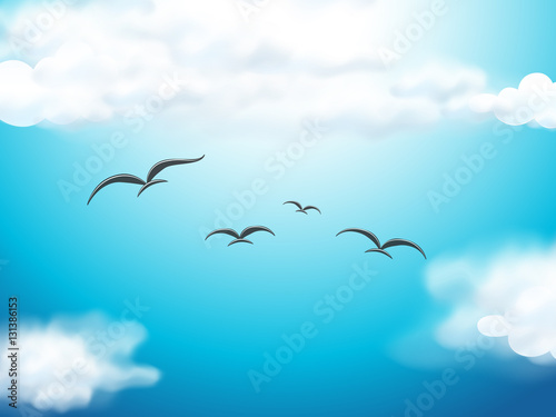 Birds flying in the blue sky