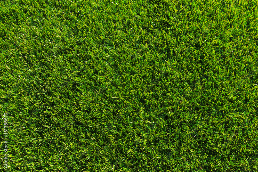 Naklejka Green grass