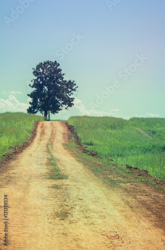 walk with your way