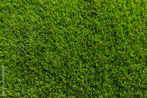 Green grass