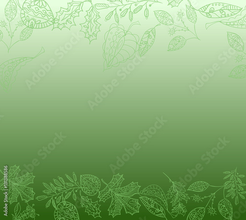 Medicinal herbs and plants against a green background