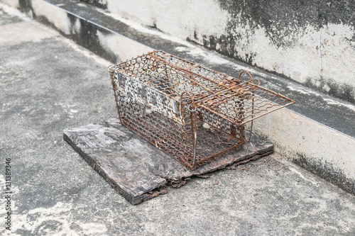 Cage mousetrap on the floor photo