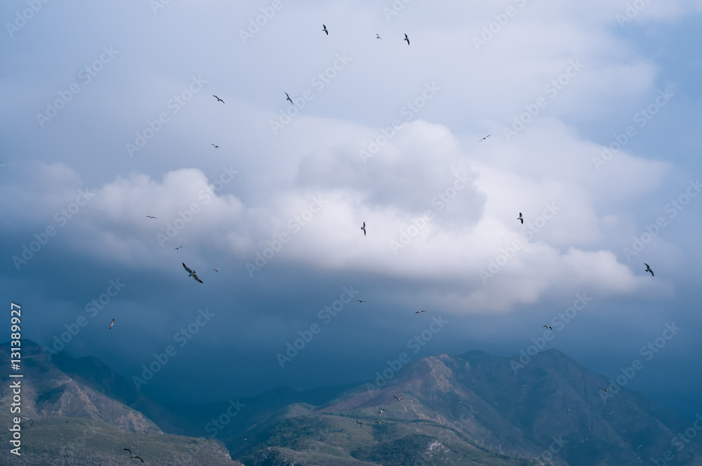 Fototapeta premium mountain view on a cloudy day