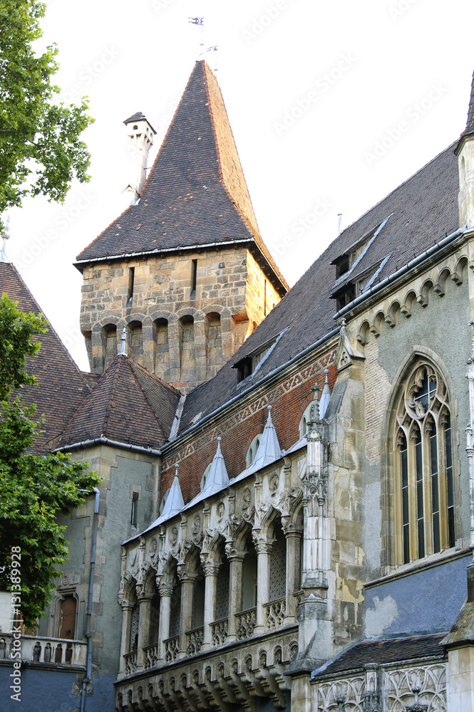 Fototapeta premium Vajdahunyad Castle