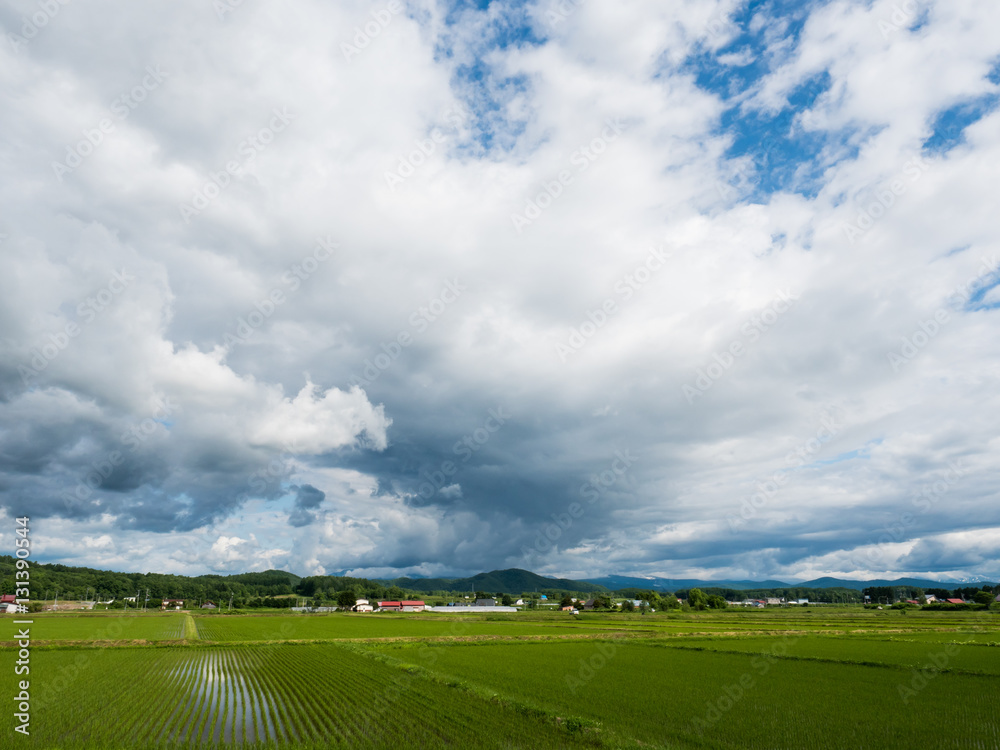 Fototapeta premium Blue sky and cloud in countryside