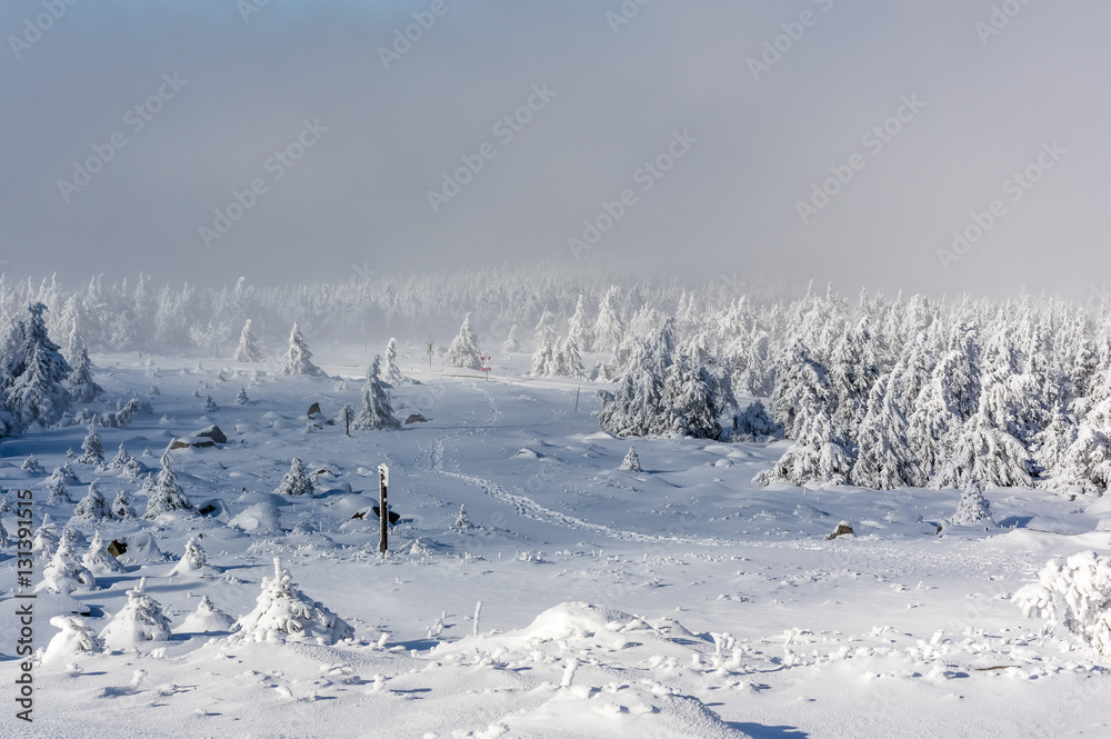 Dampfzug in verschneiter Landschaft, Brocken,Harz,Deutschland