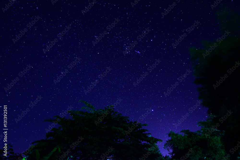 The night sky with stars