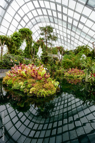 Indoor Botanic Gardens