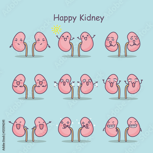 happy cartoon kidney