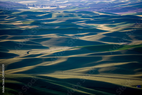 Rolling hills of Palouse