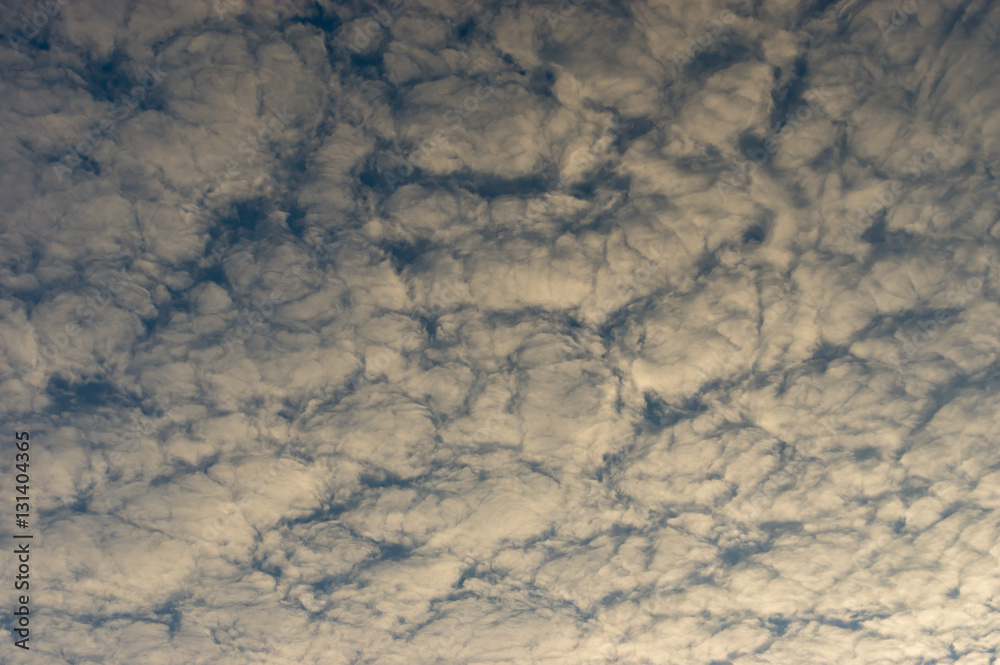 Fototapeta premium Beautiful blue sky with fluffy white clouds at autumnal evening