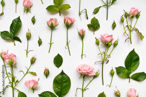 Decorative pattern with pink roses, leaves and buds on white background. Flat lay, top view